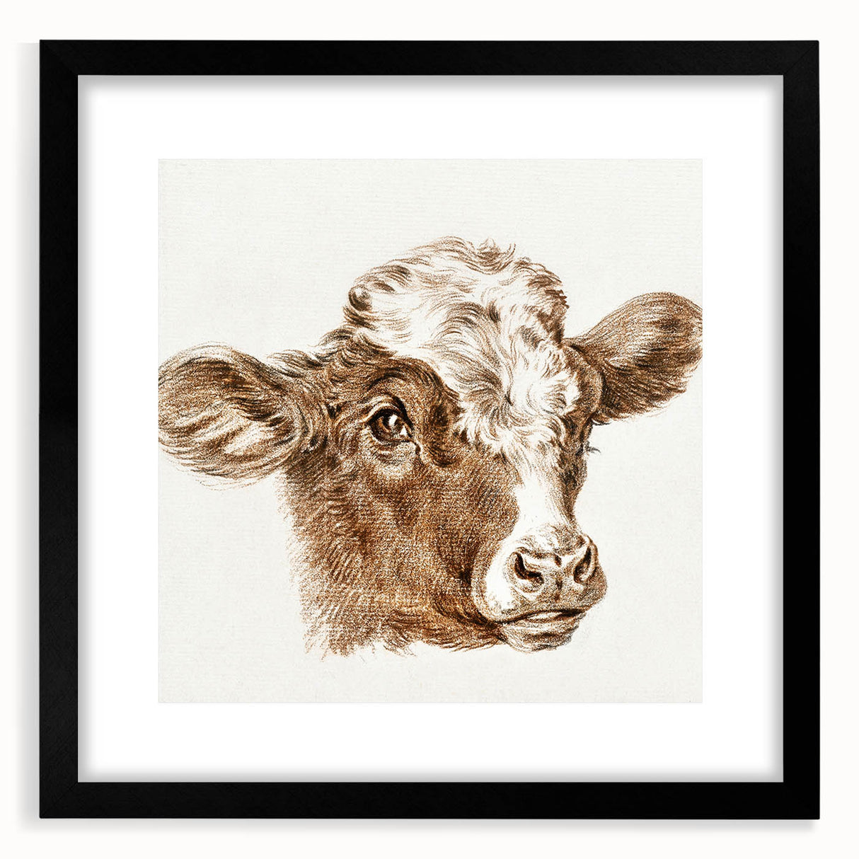 Romanticism Art: Head of a Cow - Historical Animal Sketch Canvas Print