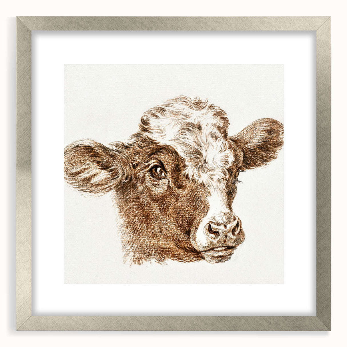 Romanticism Art: Head of a Cow - Historical Animal Sketch Canvas Print
