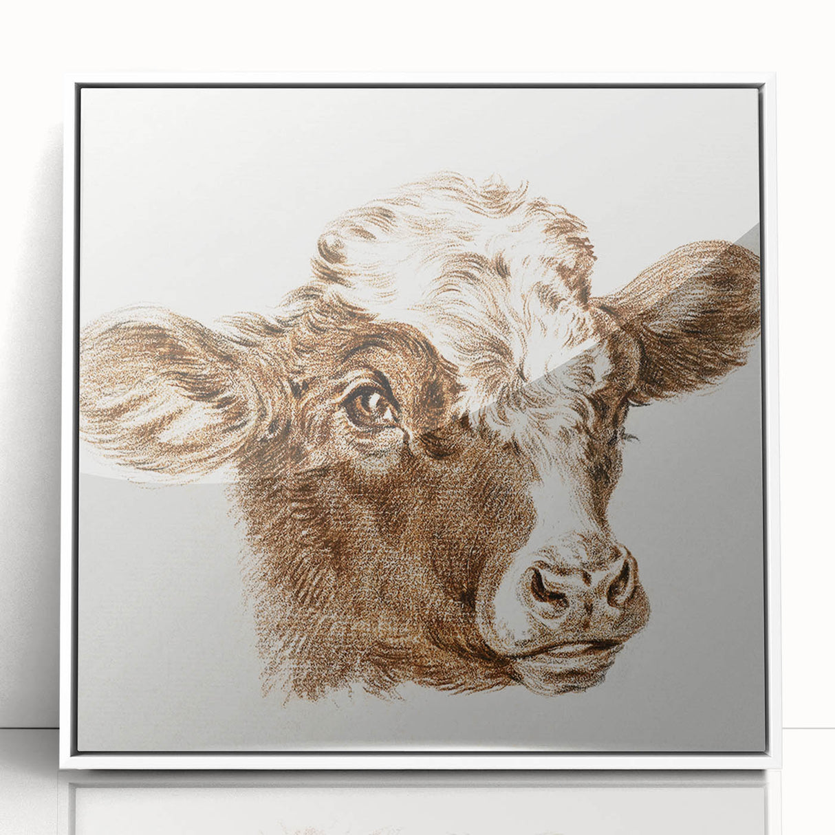 Romanticism Art: Head of a Cow - Historical Animal Sketch Canvas Print