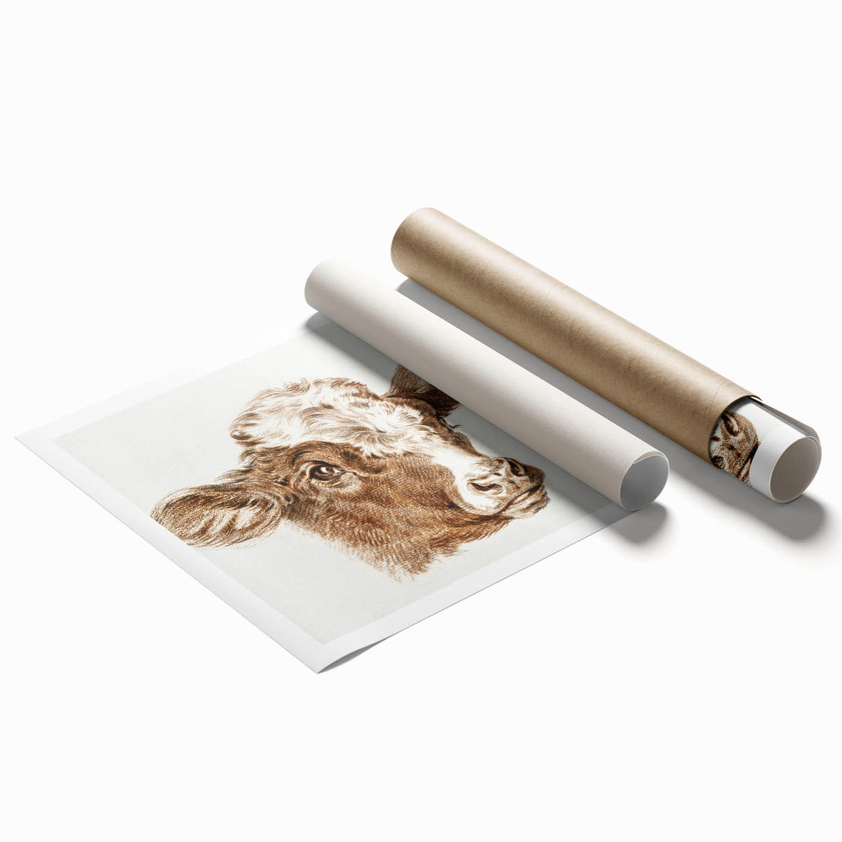 Romanticism Art: Head of a Cow - Historical Animal Sketch Canvas Print