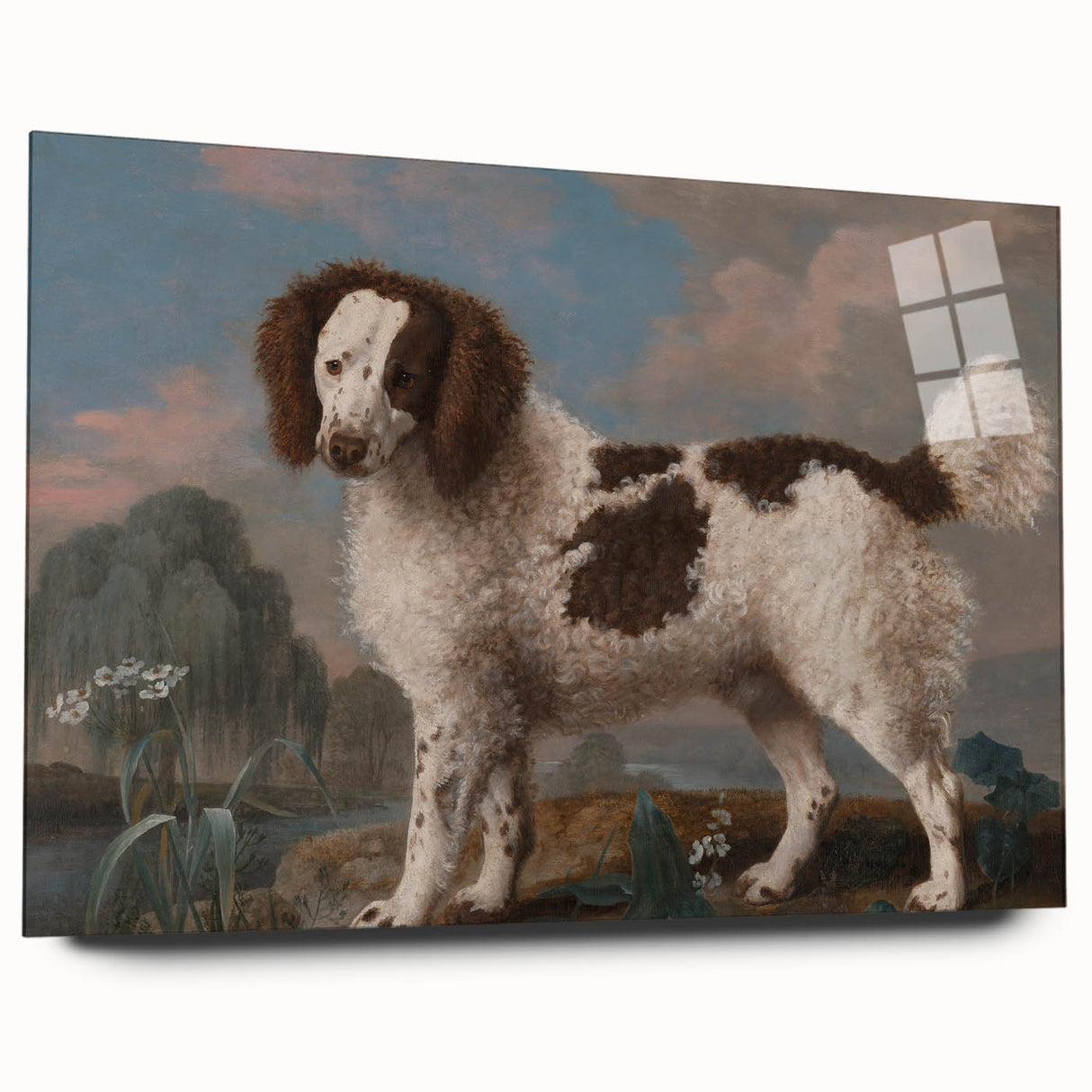 Brown and White Spaniel - Romanticism Dog Portrait by George Stubbs