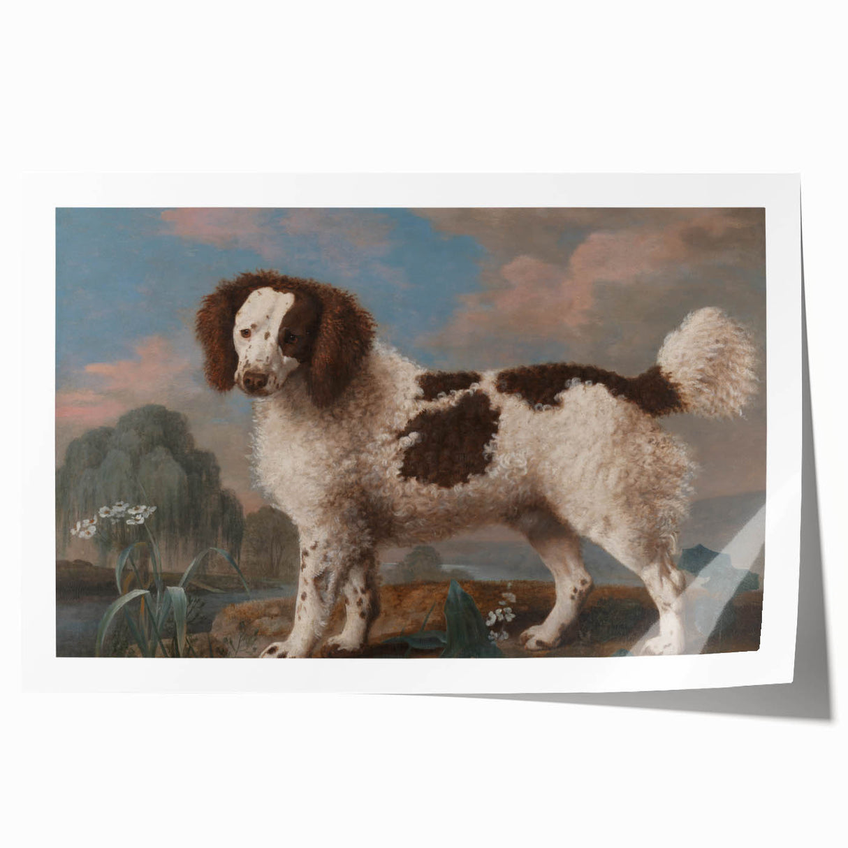 Brown and White Spaniel - Romanticism Dog Portrait by George Stubbs