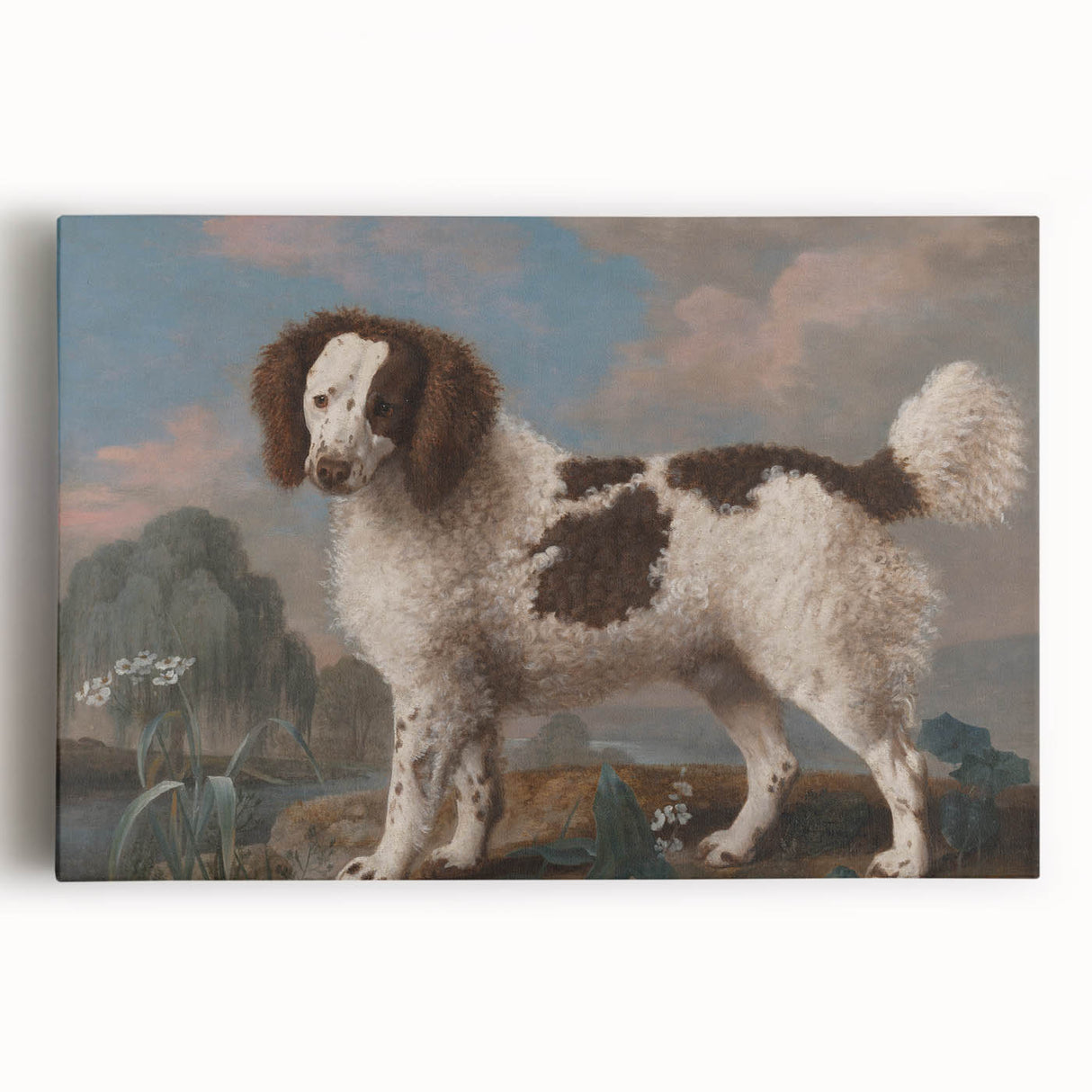 Brown and White Spaniel - Romanticism Dog Portrait by George Stubbs
