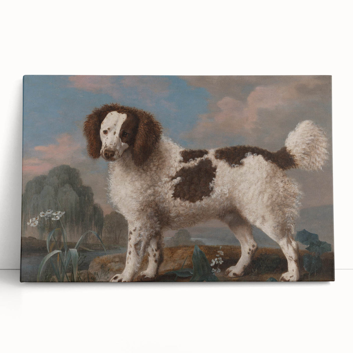 Brown and White Spaniel - Romanticism Dog Portrait by George Stubbs