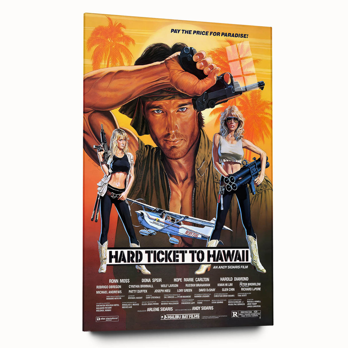 Retro Hard Ticket to Hawaii Poster Art - Vintage Action Movie Prints
