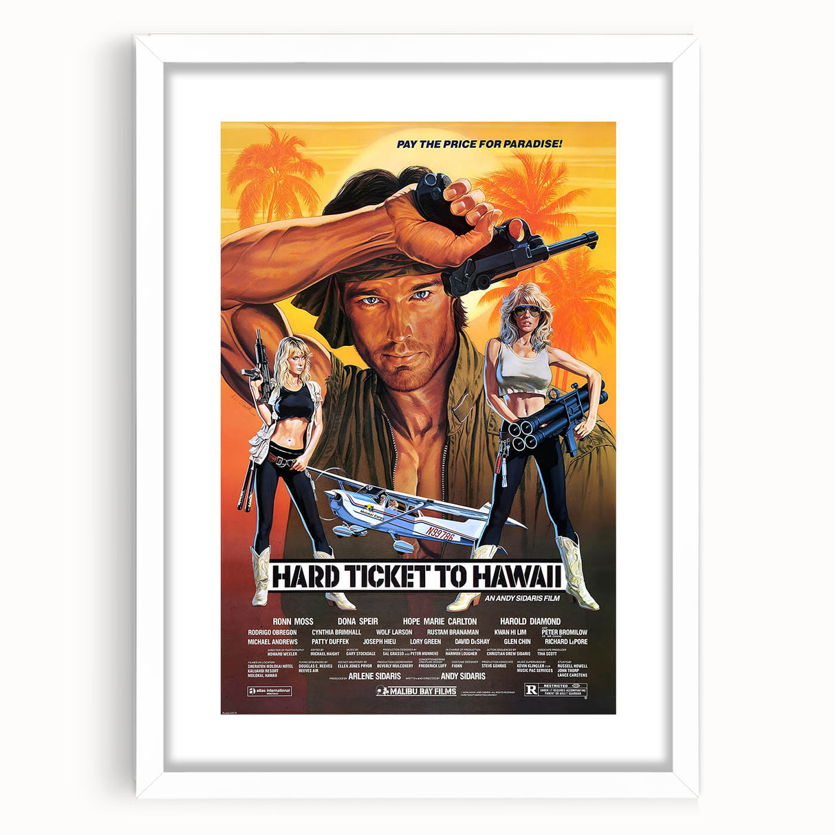 Retro Hard Ticket to Hawaii Poster Art - Vintage Action Movie Prints