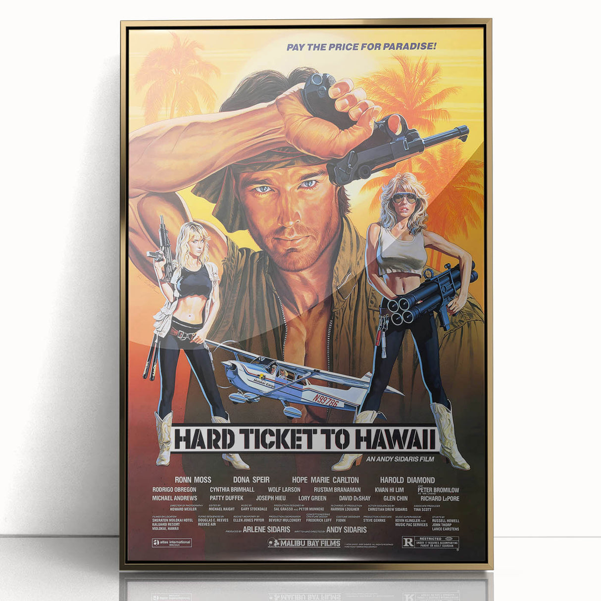 Retro Hard Ticket to Hawaii Poster Art - Vintage Action Movie Prints
