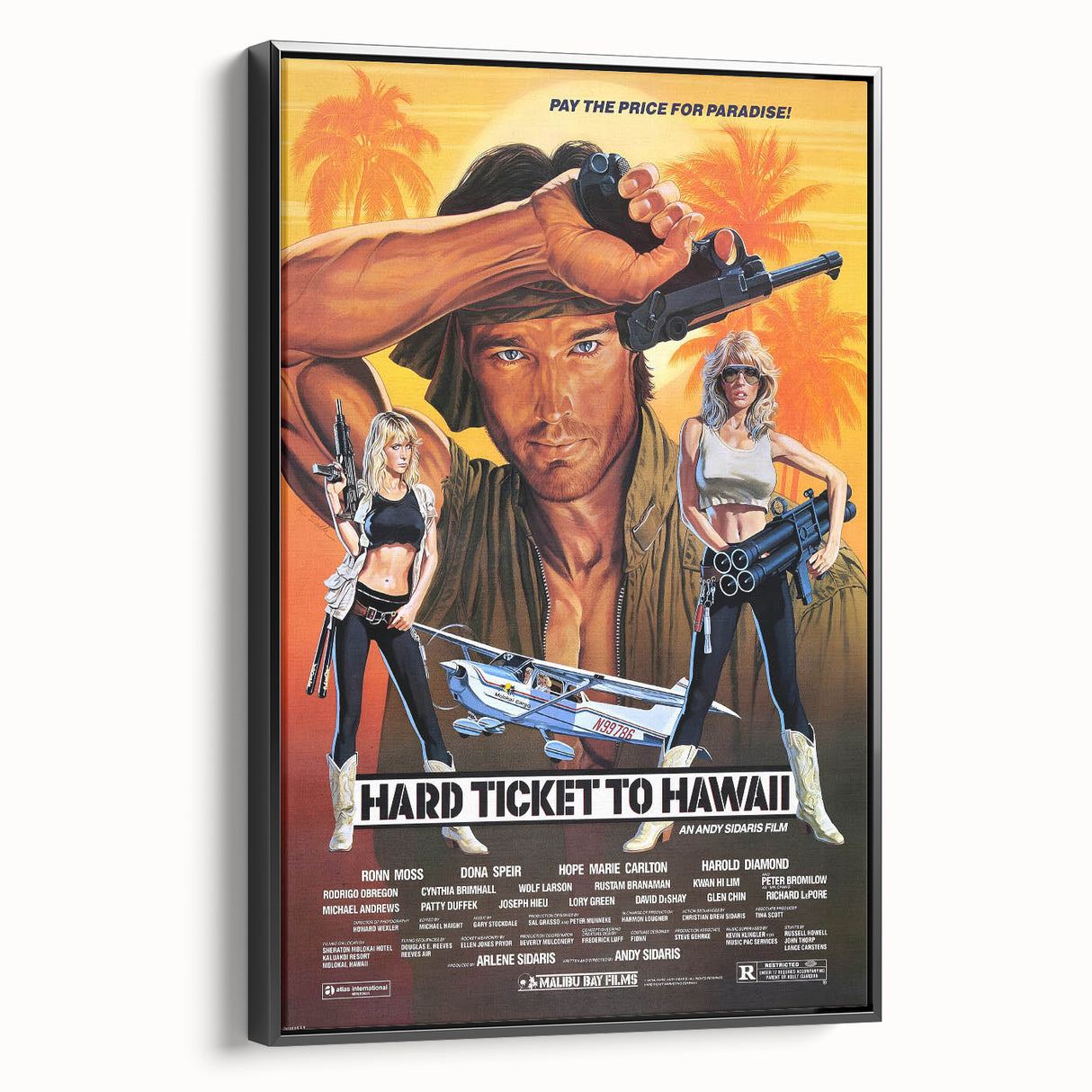 Retro Hard Ticket to Hawaii Poster Art - Vintage Action Movie Prints