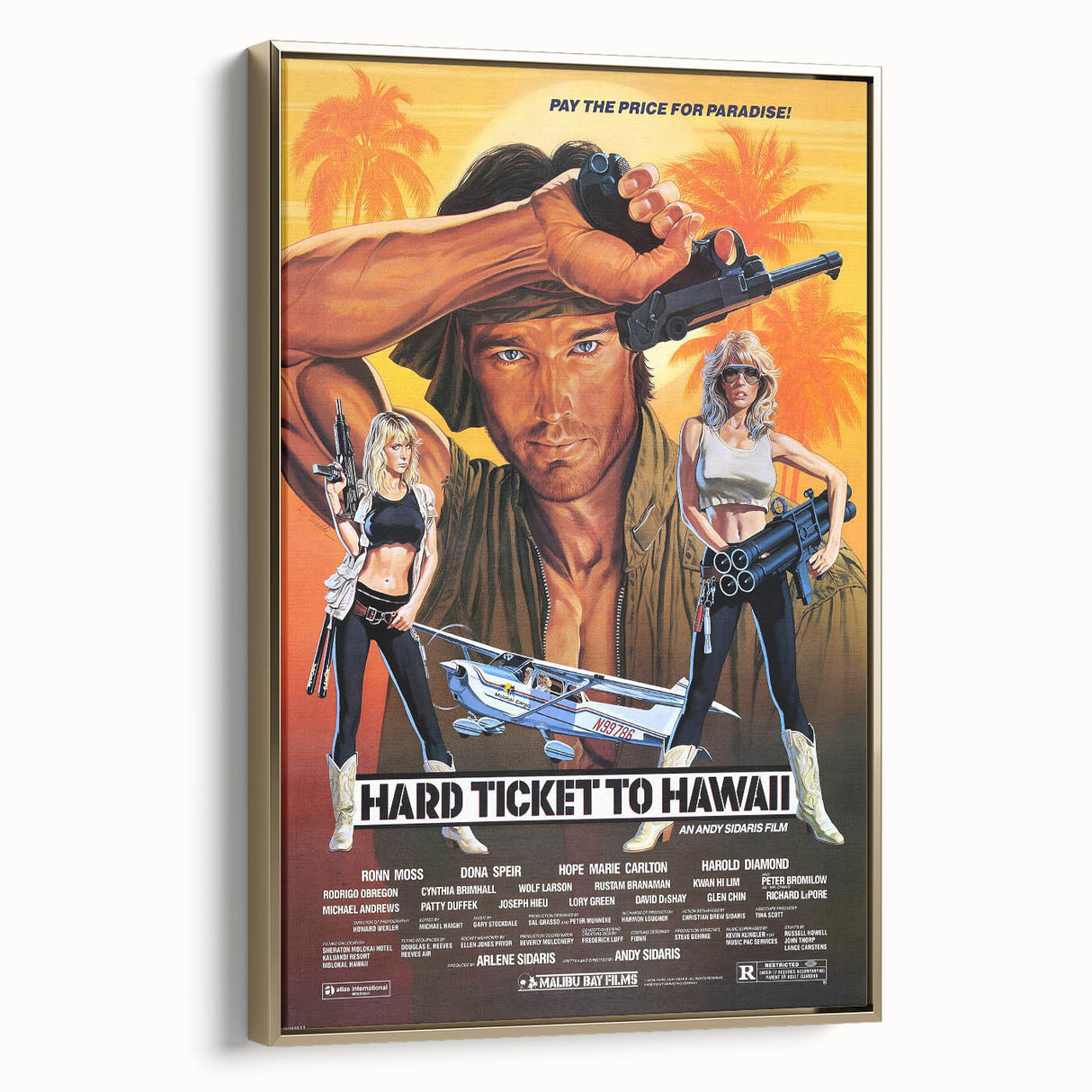 Retro Hard Ticket to Hawaii Poster Art - Vintage Action Movie Prints