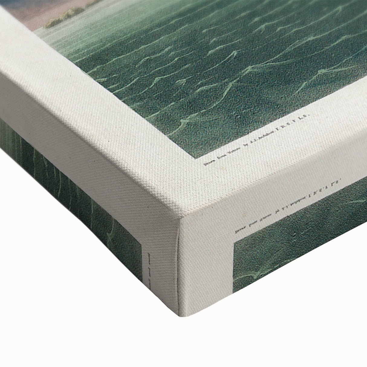 Great White Heron - Romantic Wildlife Art Canvas by Audubon