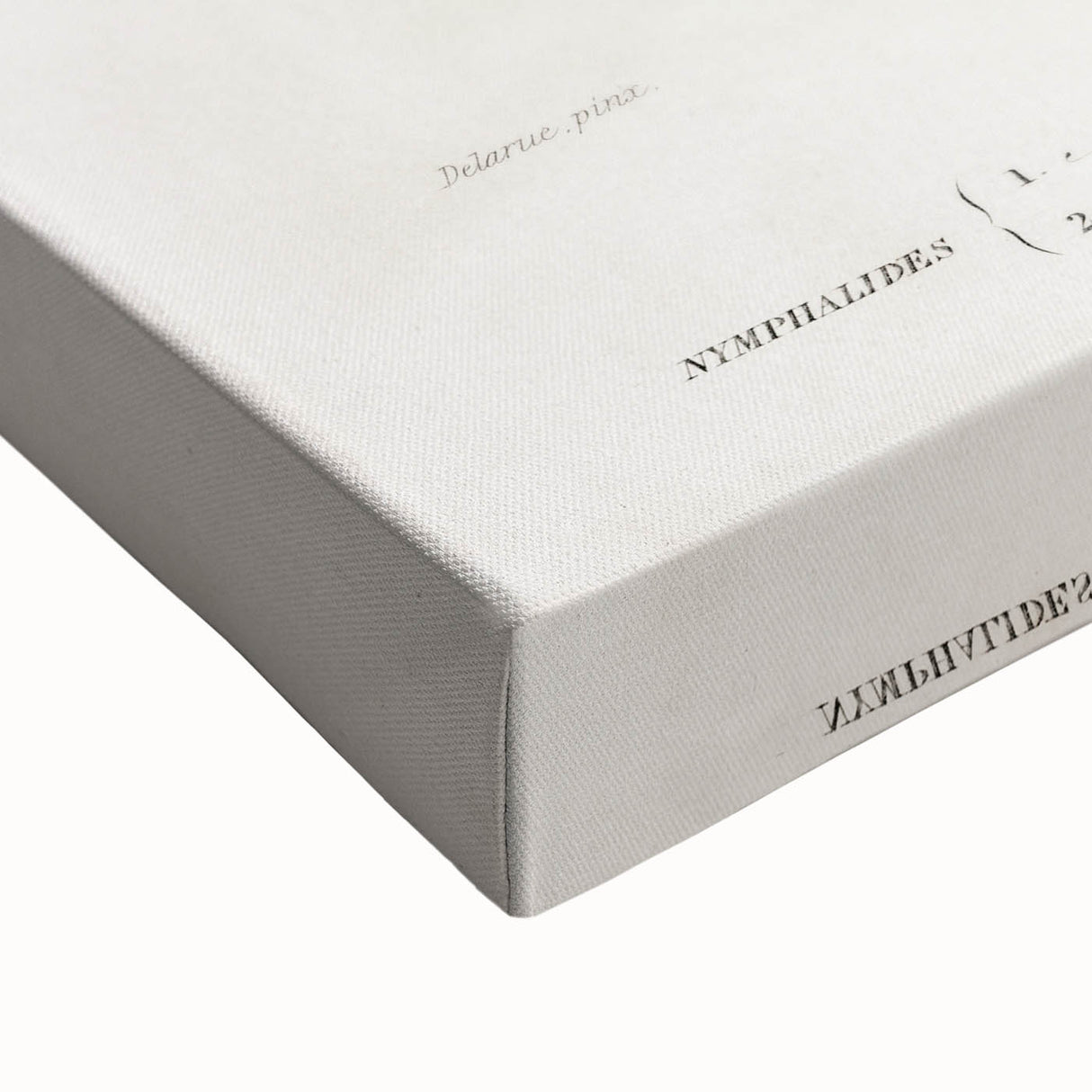 Romanticism Art: Butterfly Illustrations on Historical Canvas Print