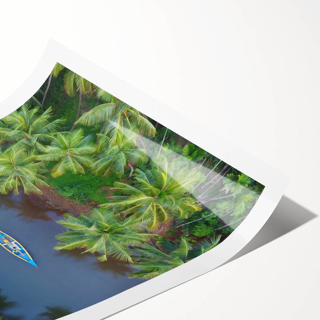 Extra large wall art featuring line art flowers in monochrome, printed on rolled canvas, ideal for large living room decor.