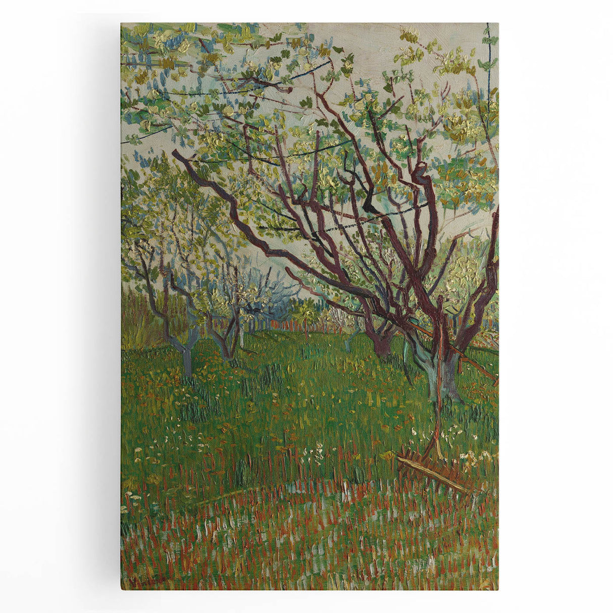 Impressionist Blooming Orchard - Peaceful Landscape Wall Art Print