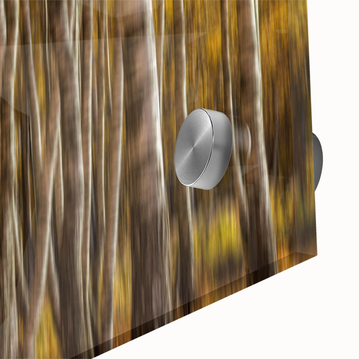 Golden Trunk Flow – Autumn Forest Scene in Artistic Motion Blur