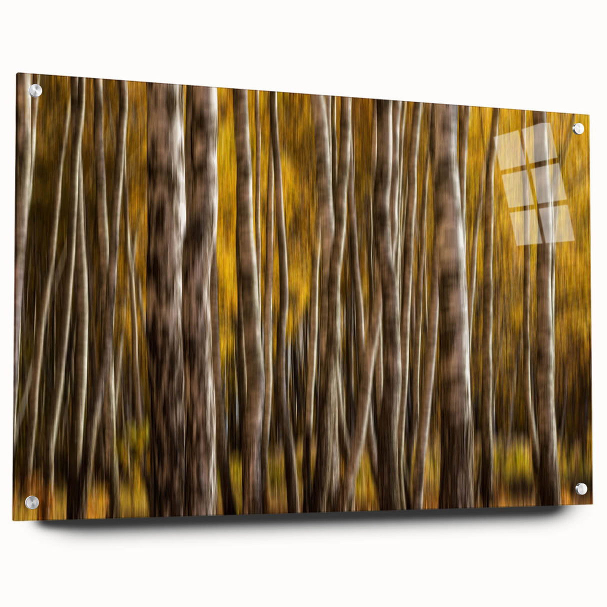 Golden Trunk Flow – Autumn Forest Scene in Artistic Motion Blur