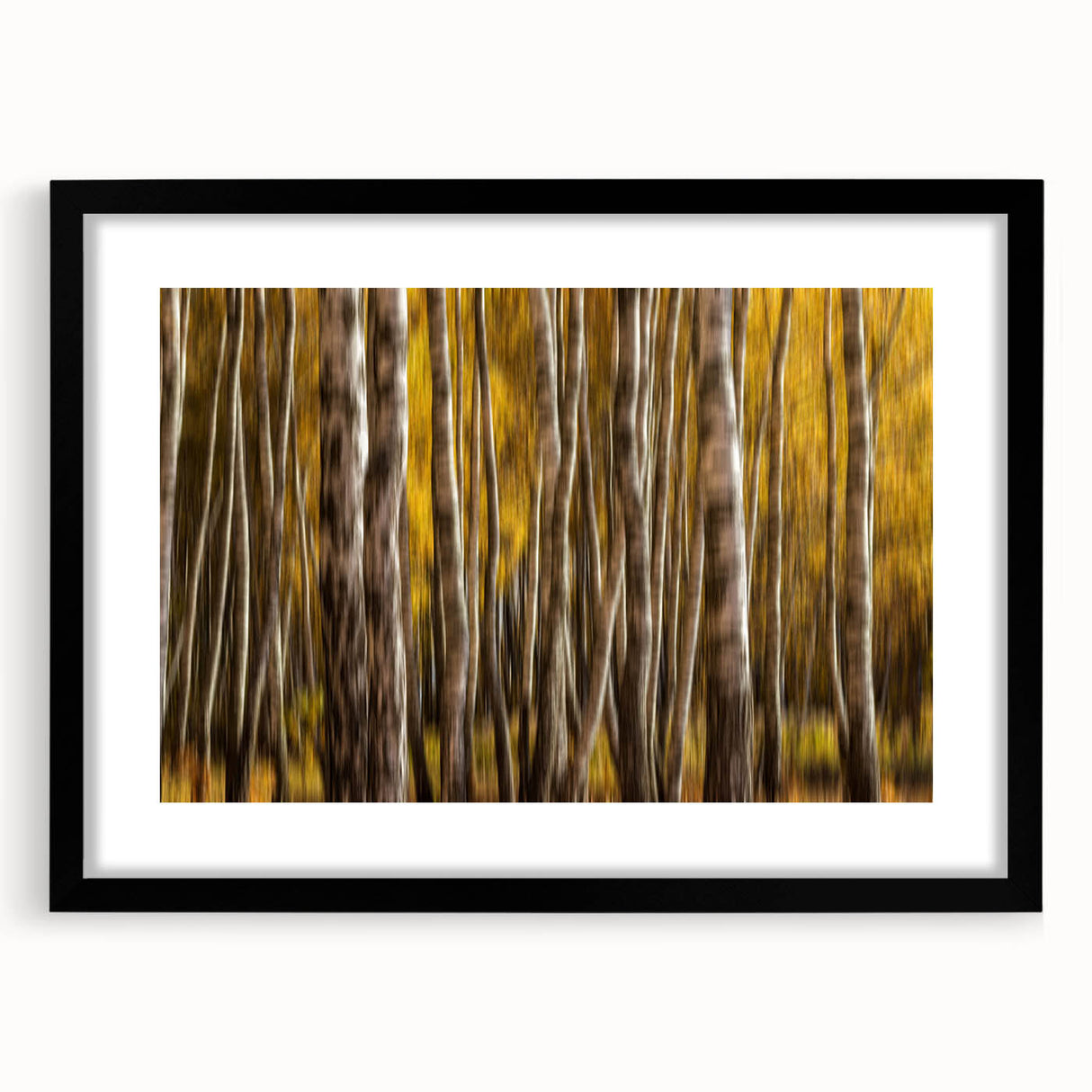 Golden Trunk Flow – Autumn Forest Scene in Artistic Motion Blur