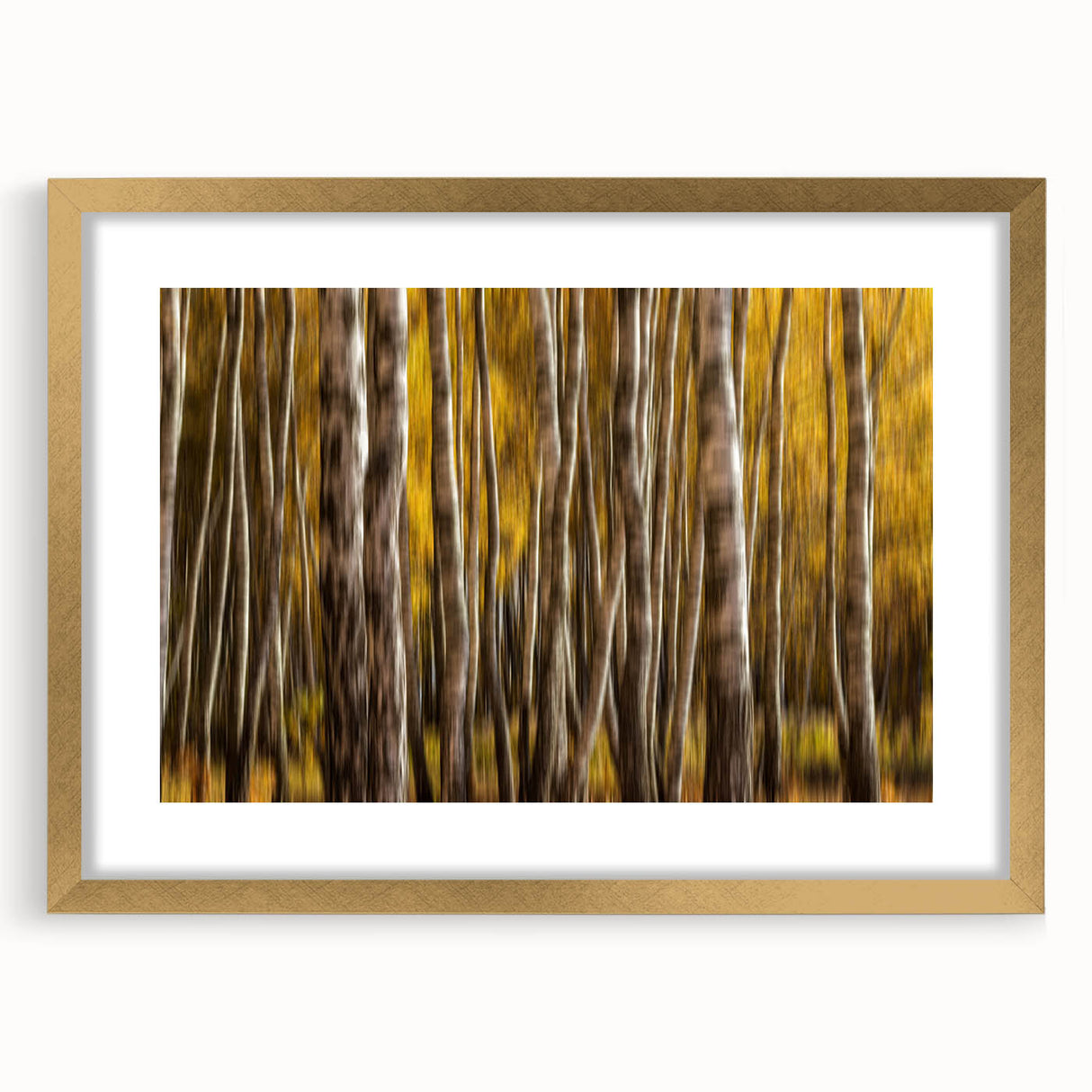 Golden Trunk Flow – Autumn Forest Scene in Artistic Motion Blur