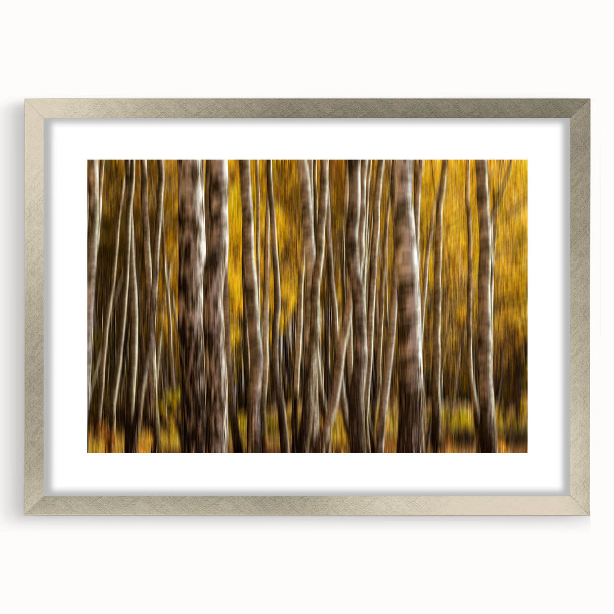 Golden Trunk Flow – Autumn Forest Scene in Artistic Motion Blur