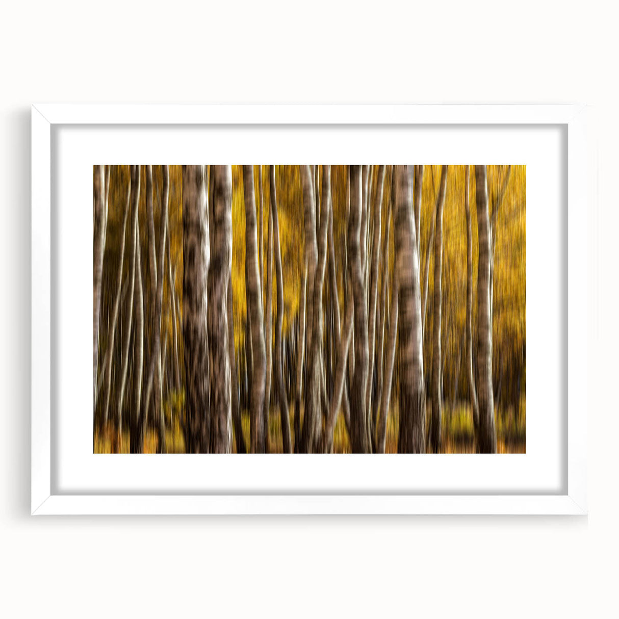 Golden Trunk Flow – Autumn Forest Scene in Artistic Motion Blur