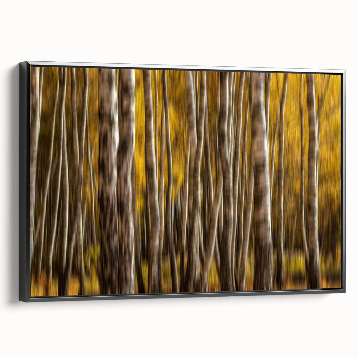 Golden Trunk Flow – Autumn Forest Scene in Artistic Motion Blur