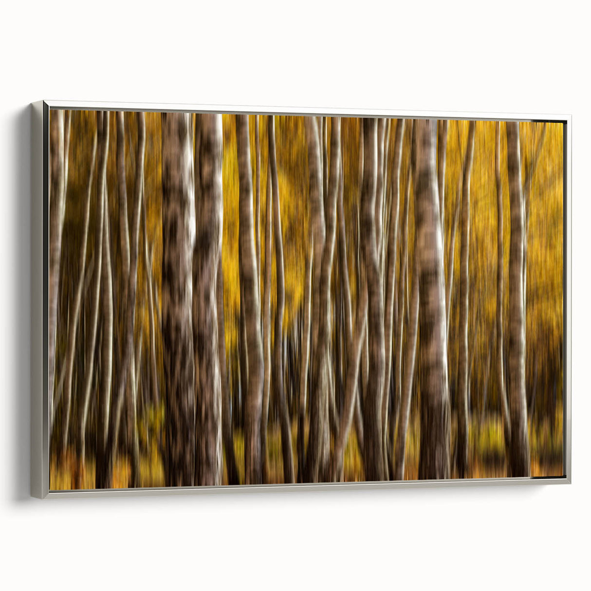 Golden Trunk Flow – Autumn Forest Scene in Artistic Motion Blur