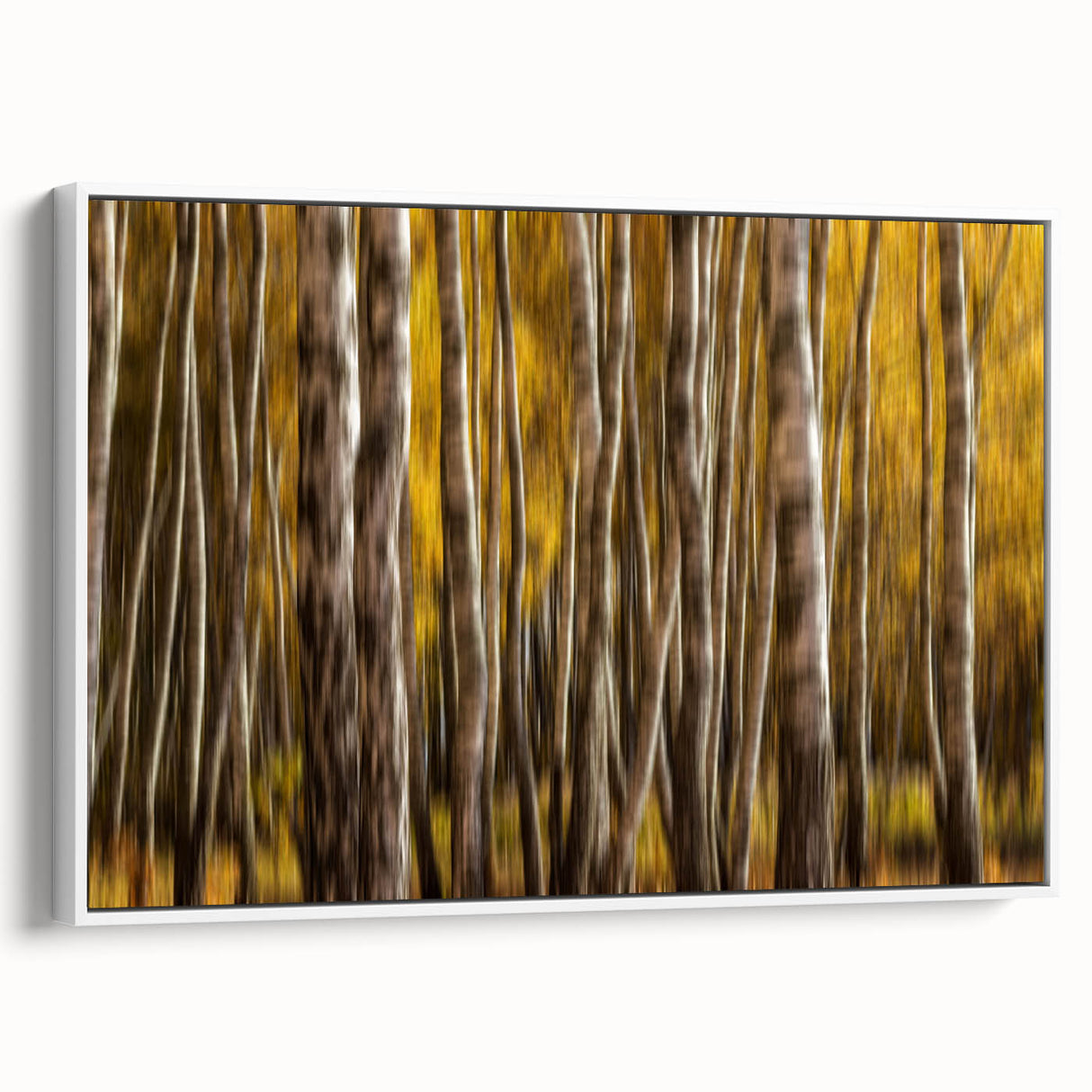 Golden Trunk Flow – Autumn Forest Scene in Artistic Motion Blur