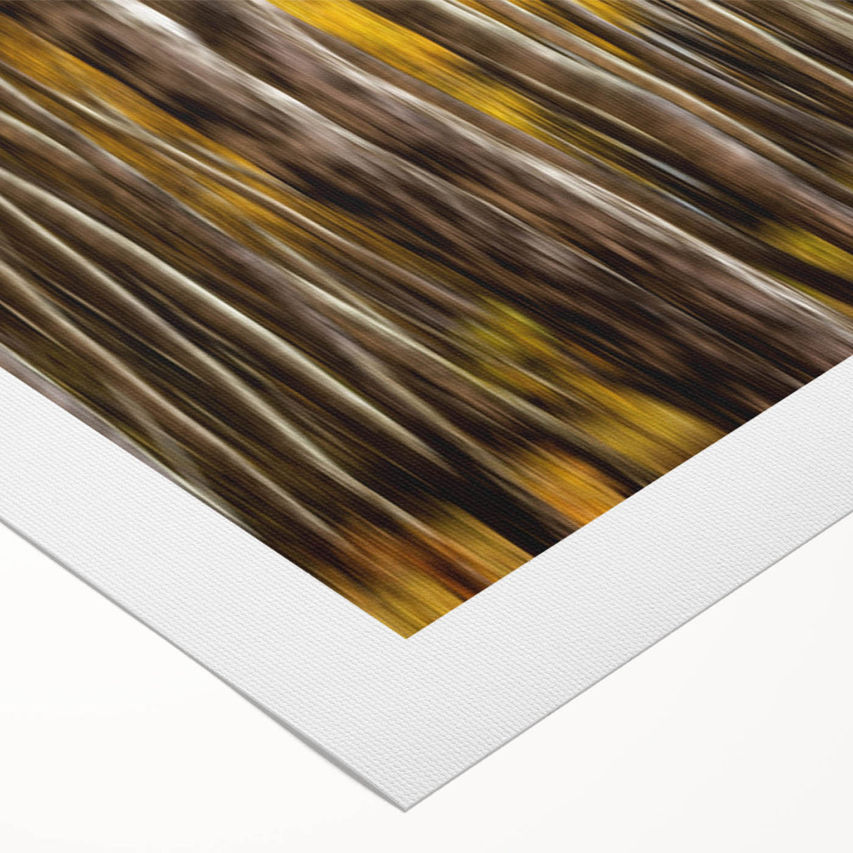 Golden Trunk Flow – Autumn Forest Scene in Artistic Motion Blur