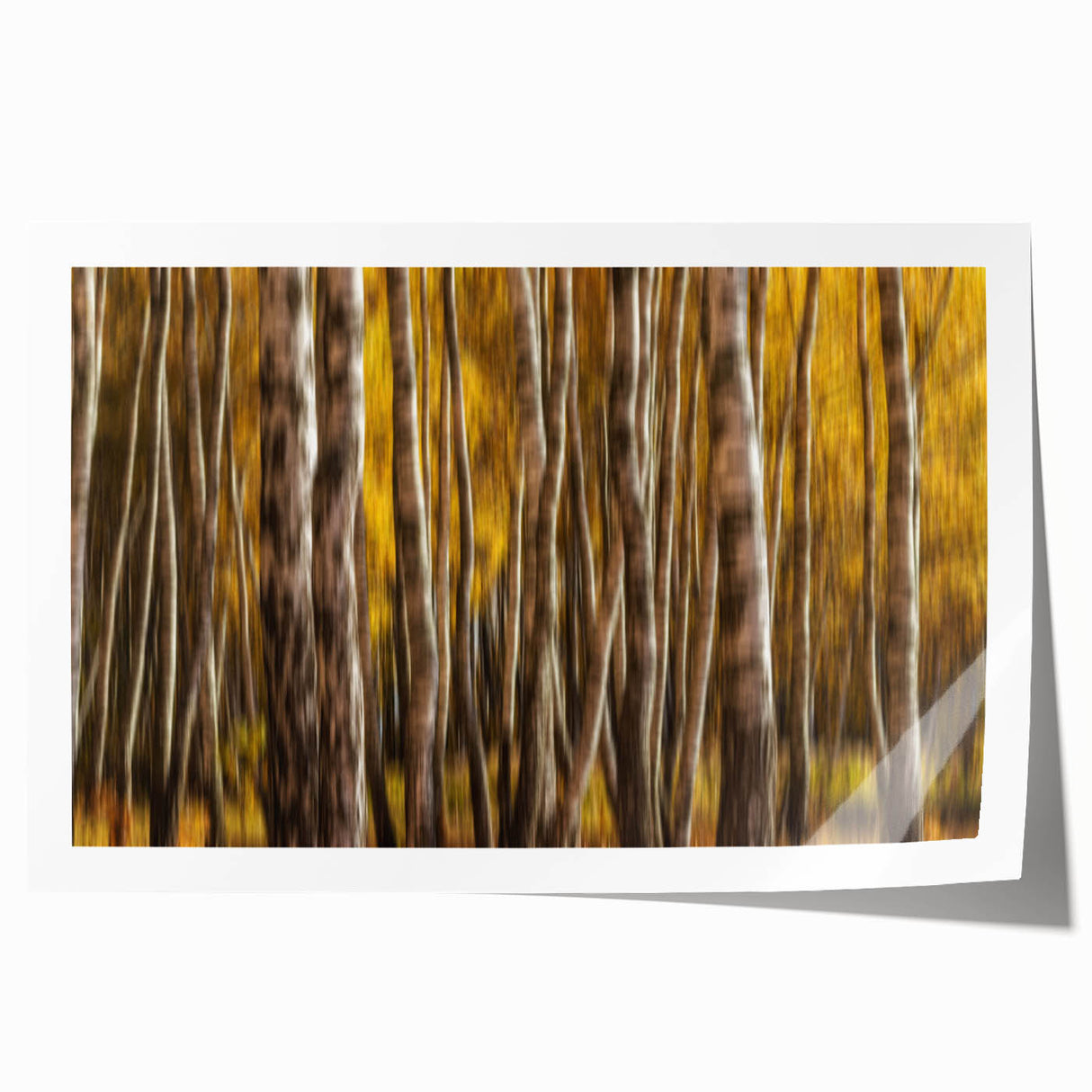 Golden Trunk Flow – Autumn Forest Scene in Artistic Motion Blur
