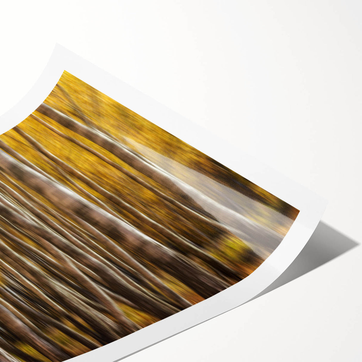 Golden Trunk Flow – Autumn Forest Scene in Artistic Motion Blur