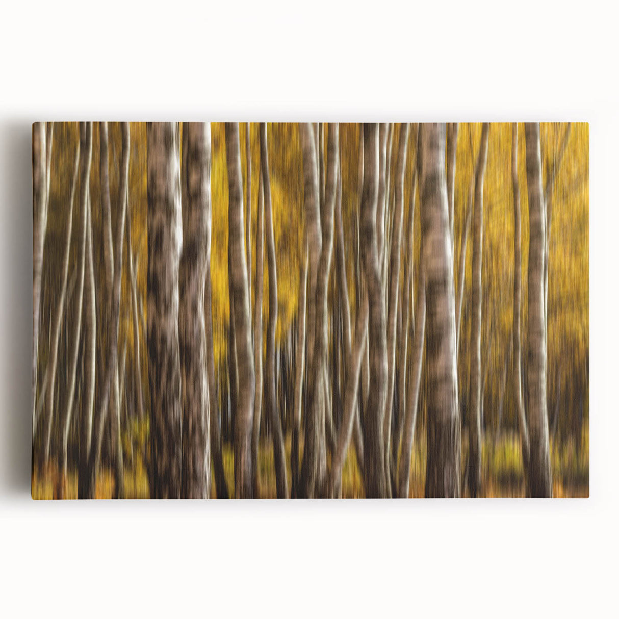 Golden Trunk Flow – Autumn Forest Scene in Artistic Motion Blur