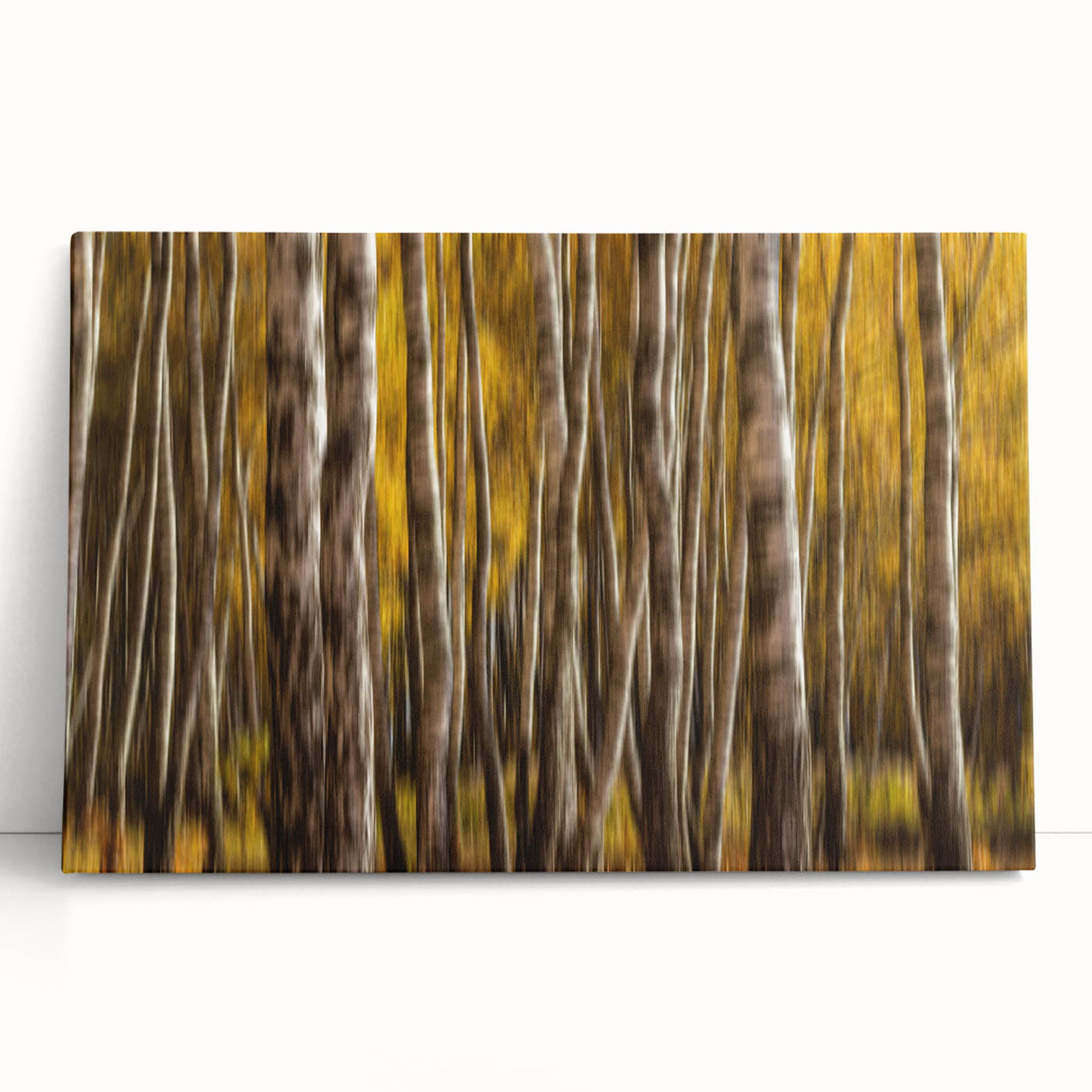 Golden Trunk Flow – Autumn Forest Scene in Artistic Motion Blur