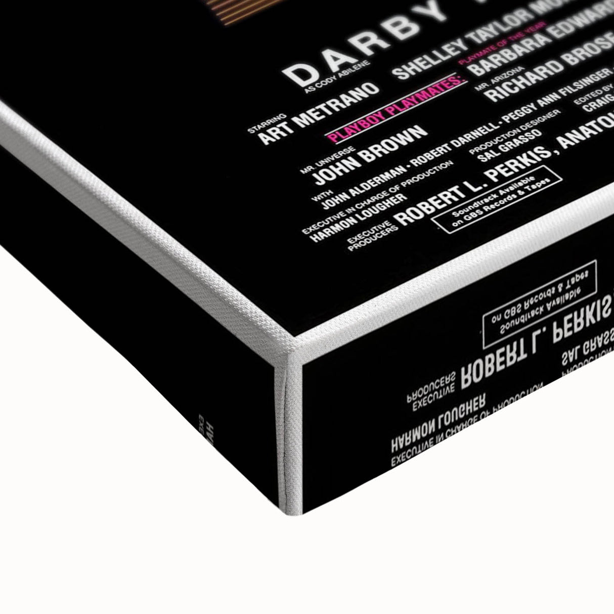 Retro Malibu Express Poster Art - Vintage 80s Action Movie Prints