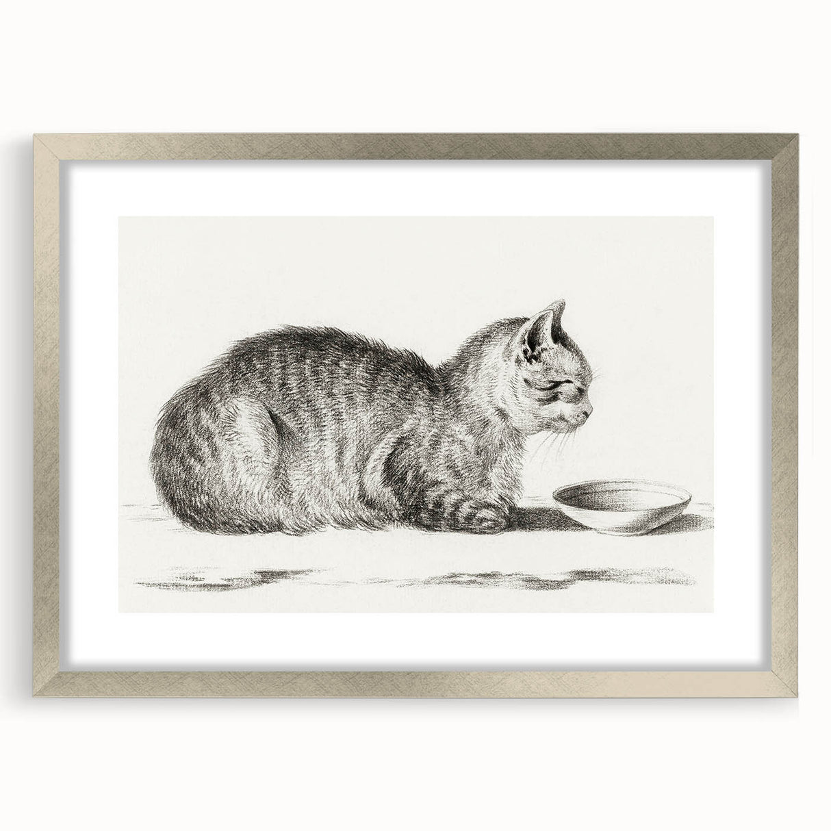 Famous Romantic Era Art: Brush Turkey - Historical Romantic Art Print