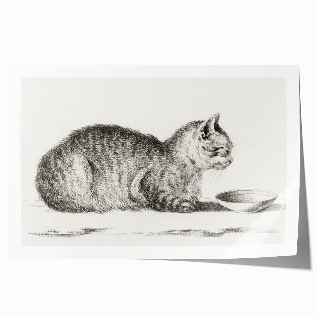 Famous Romantic Era Art: Brush Turkey - Historical Romantic Art Print