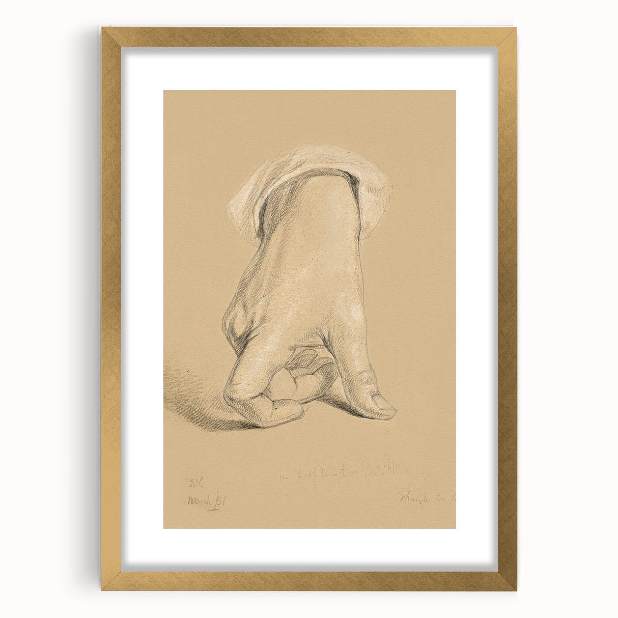 Romanticism Art: Alexander Hamilton Hand Study Canvas Print