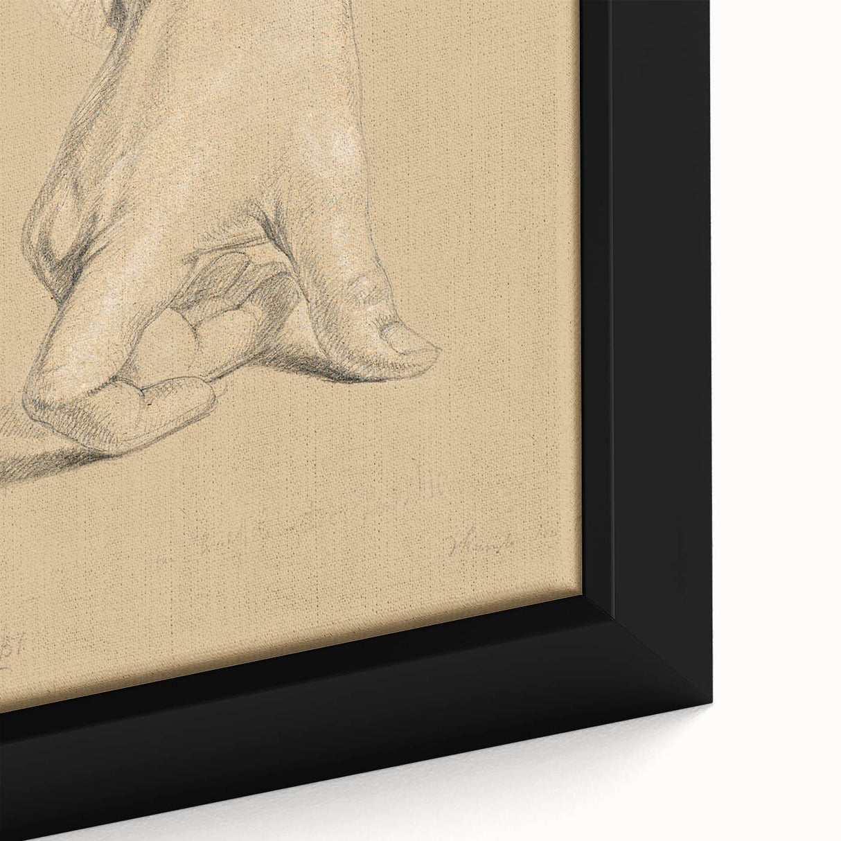 Romanticism Art: Alexander Hamilton Hand Study Canvas Print