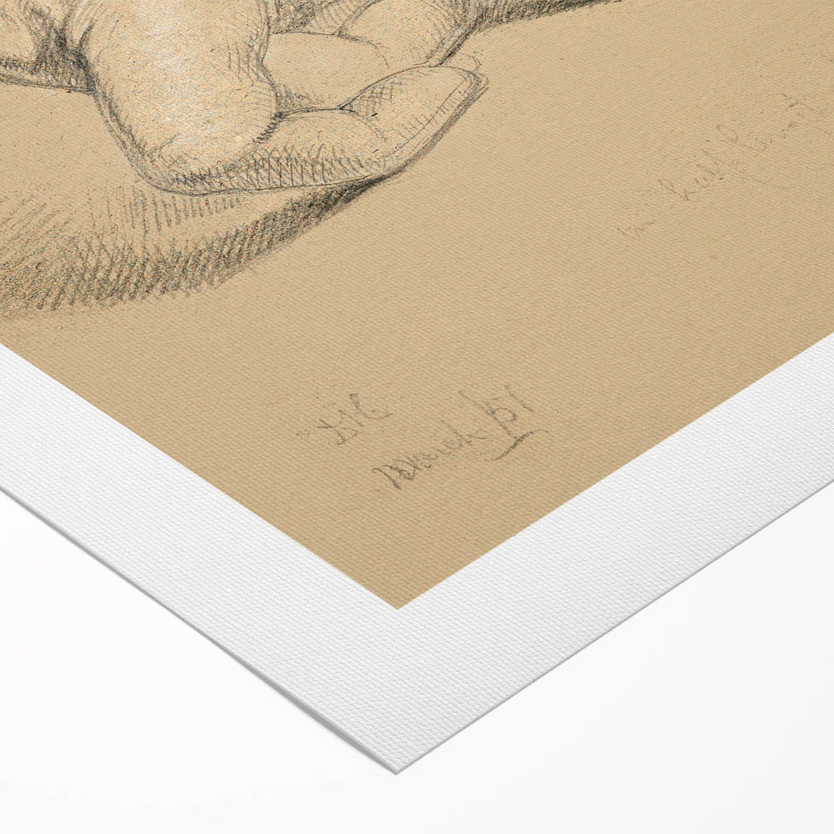 Romanticism Art: Alexander Hamilton Hand Study Canvas Print