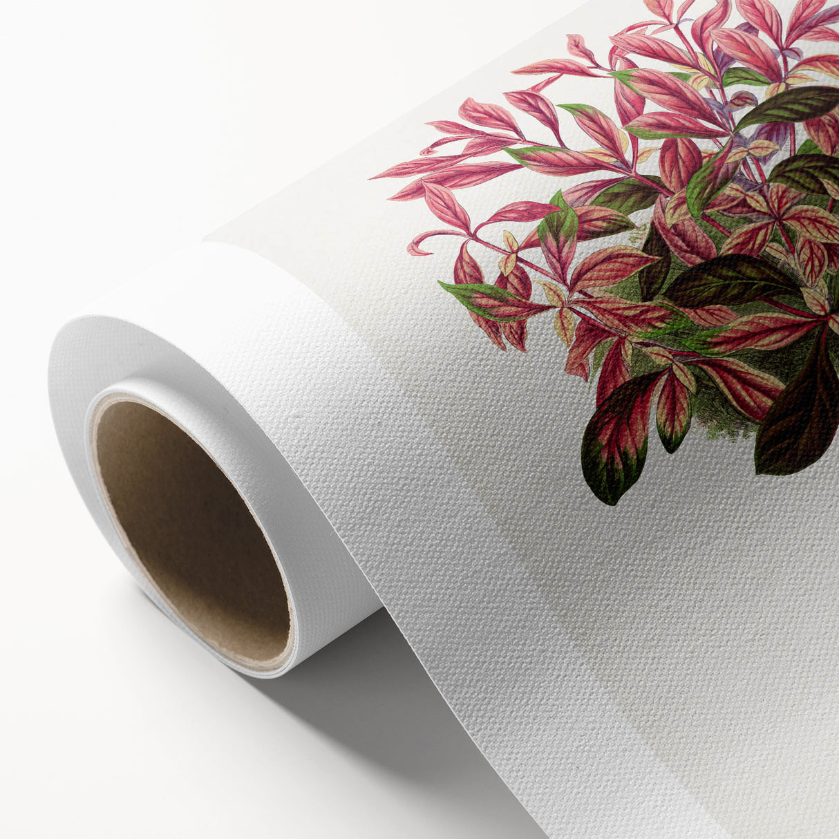 Romanticism Art: Alternanthera Leaf Botanical Canvas Print