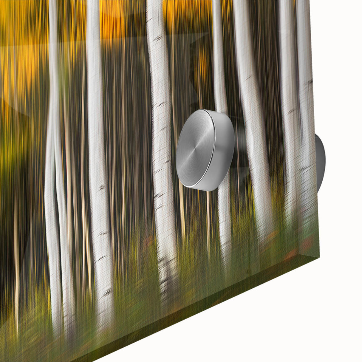 Forest Blaze – Abstract Autumn Trunks in Dynamic Vertical Motion