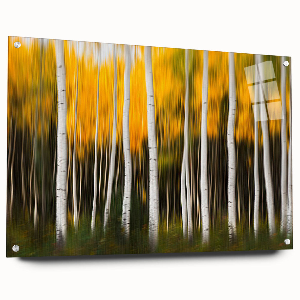 Forest Blaze – Abstract Autumn Trunks in Dynamic Vertical Motion