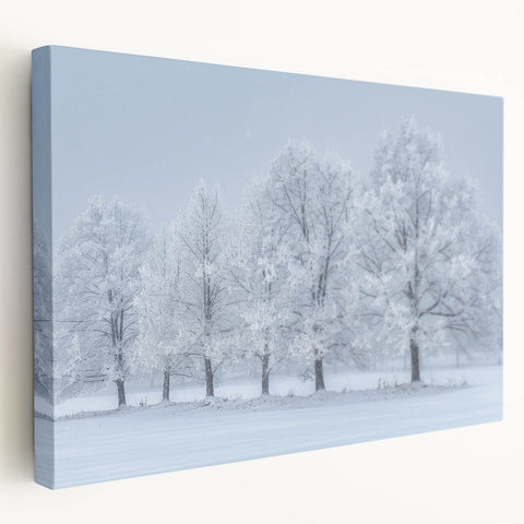 Winter Wonderland Office Wall Art – Modern Corporate Decor