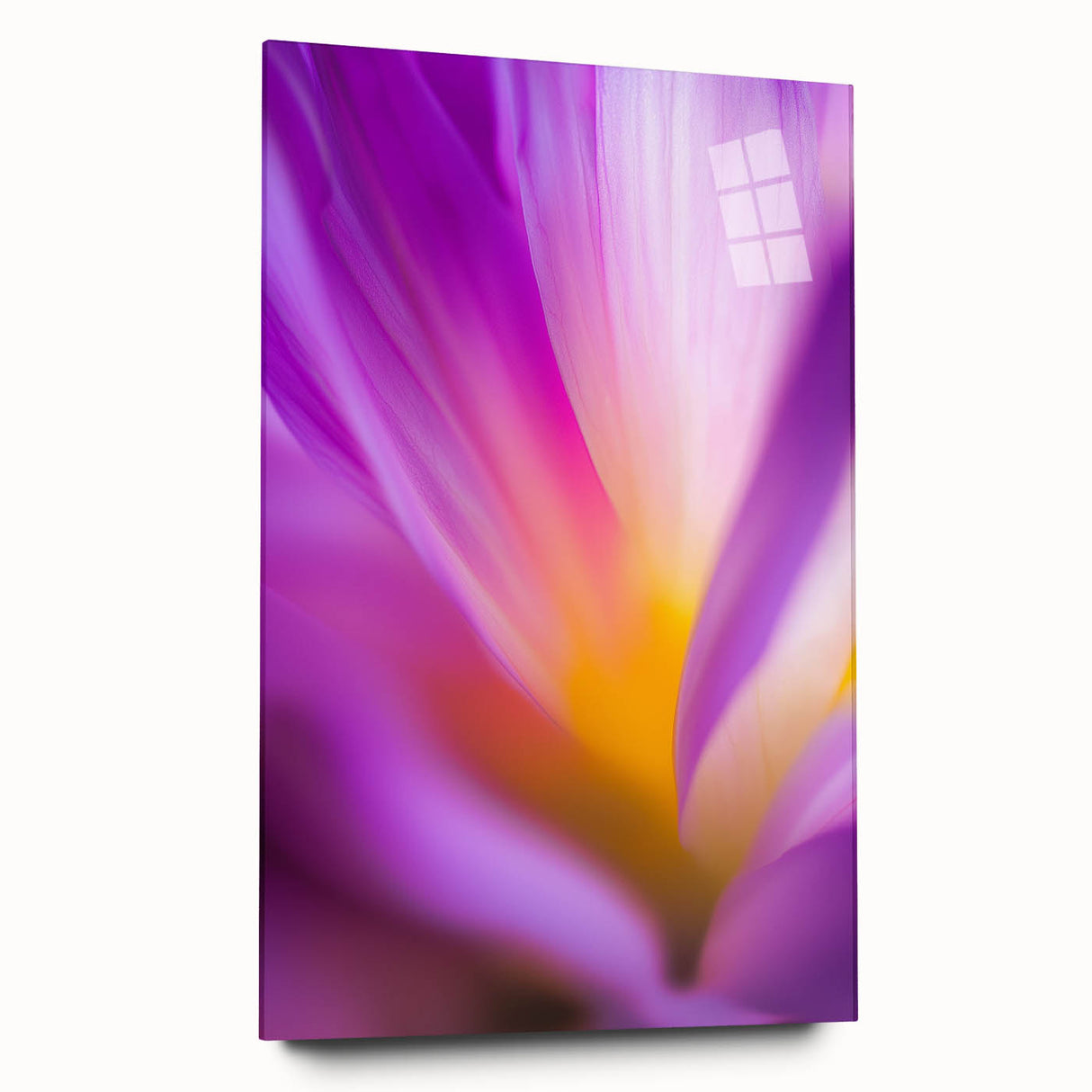 Radiant Petal Pulse – Abstract Floral Glow in Fluid Color Motion