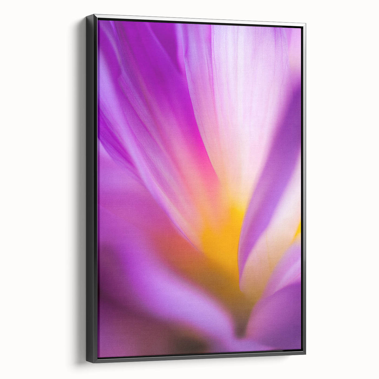 Radiant Petal Pulse – Abstract Floral Glow in Fluid Color Motion