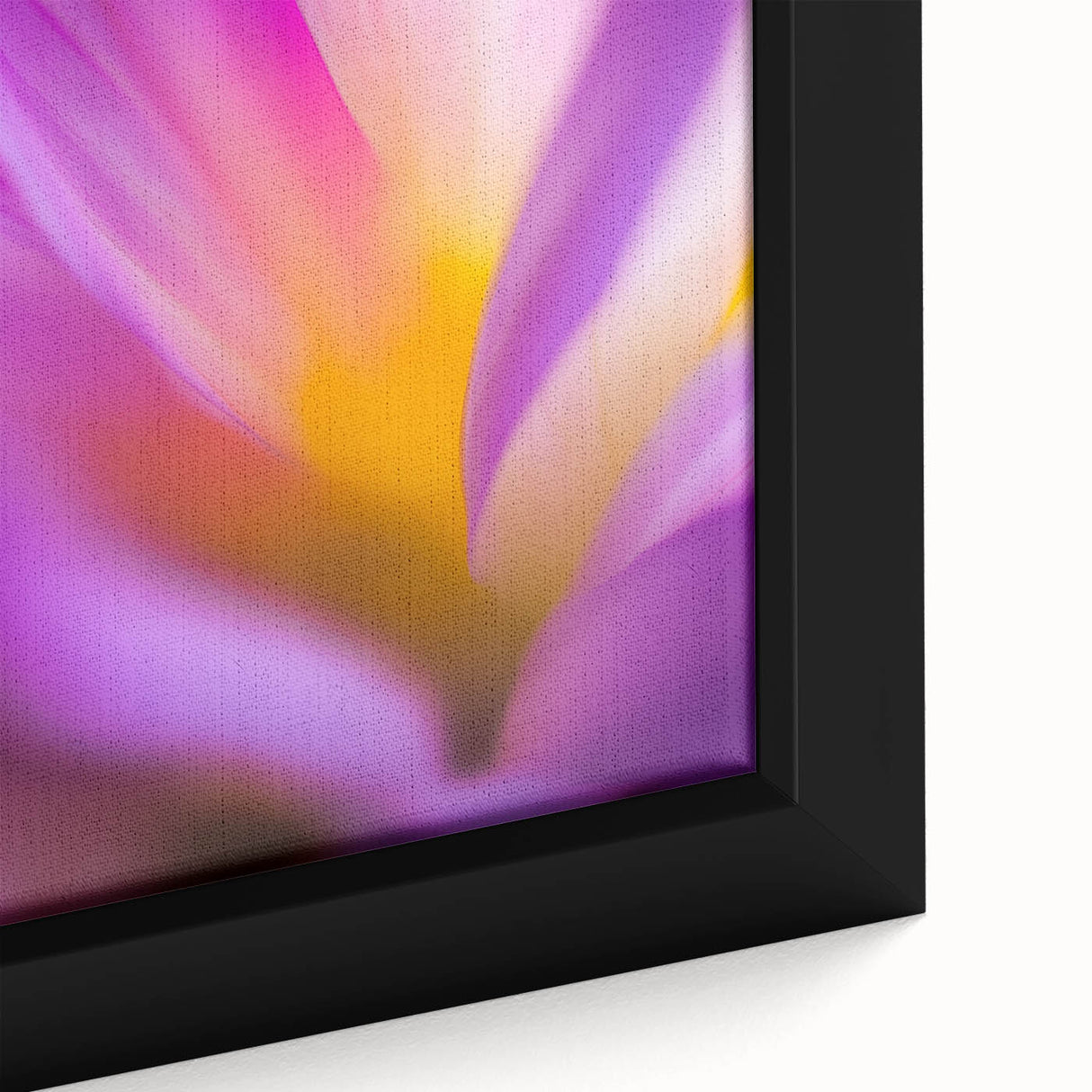 Radiant Petal Pulse – Abstract Floral Glow in Fluid Color Motion