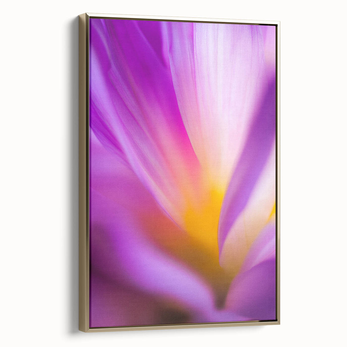 Radiant Petal Pulse – Abstract Floral Glow in Fluid Color Motion