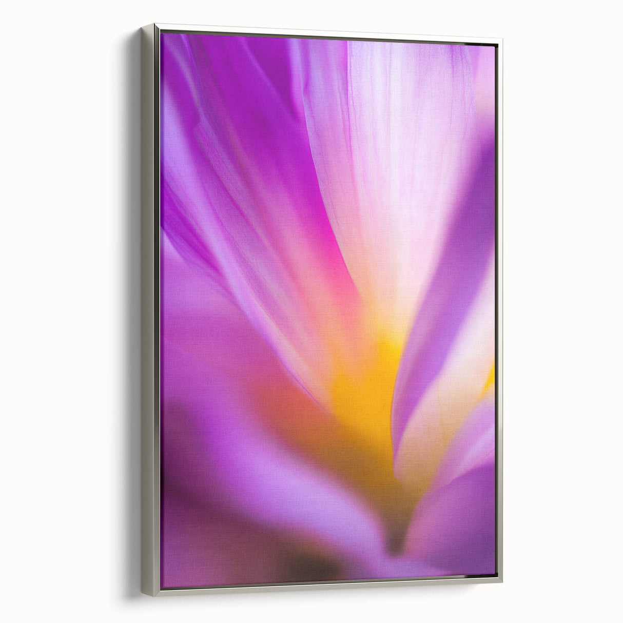 Radiant Petal Pulse – Abstract Floral Glow in Fluid Color Motion