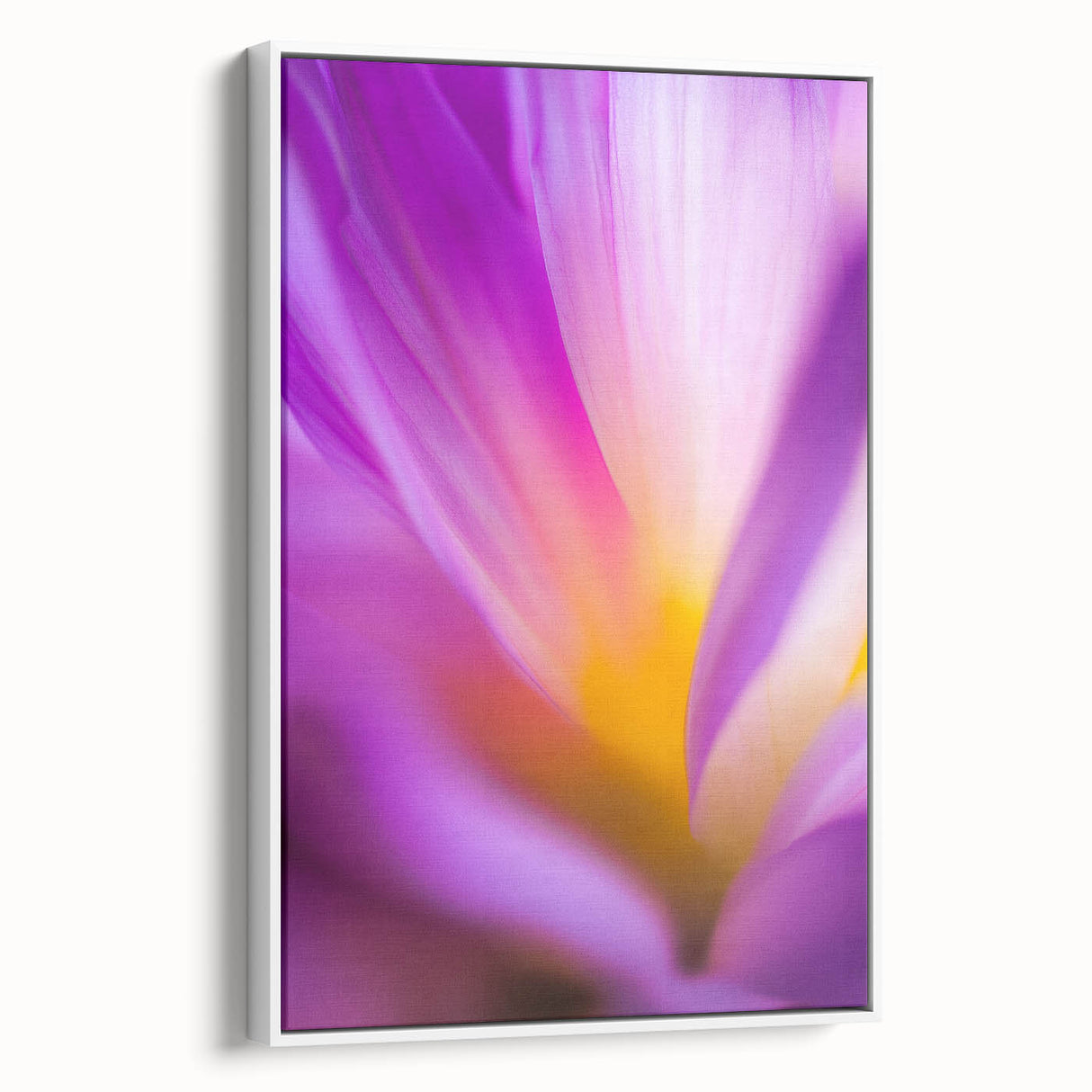 Radiant Petal Pulse – Abstract Floral Glow in Fluid Color Motion