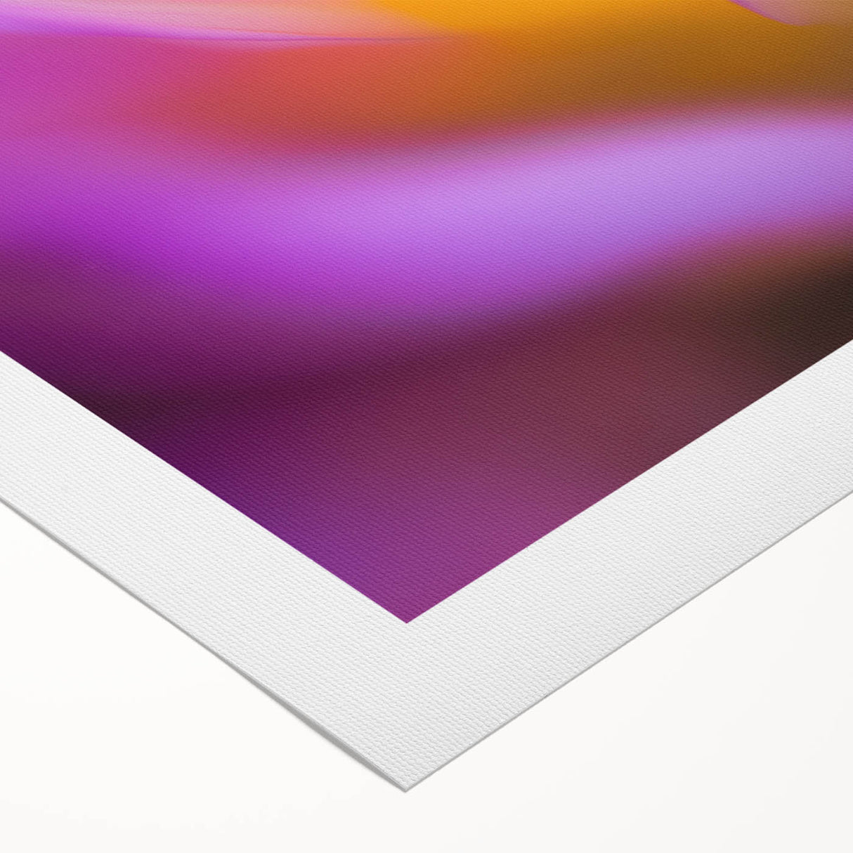 Radiant Petal Pulse – Abstract Floral Glow in Fluid Color Motion