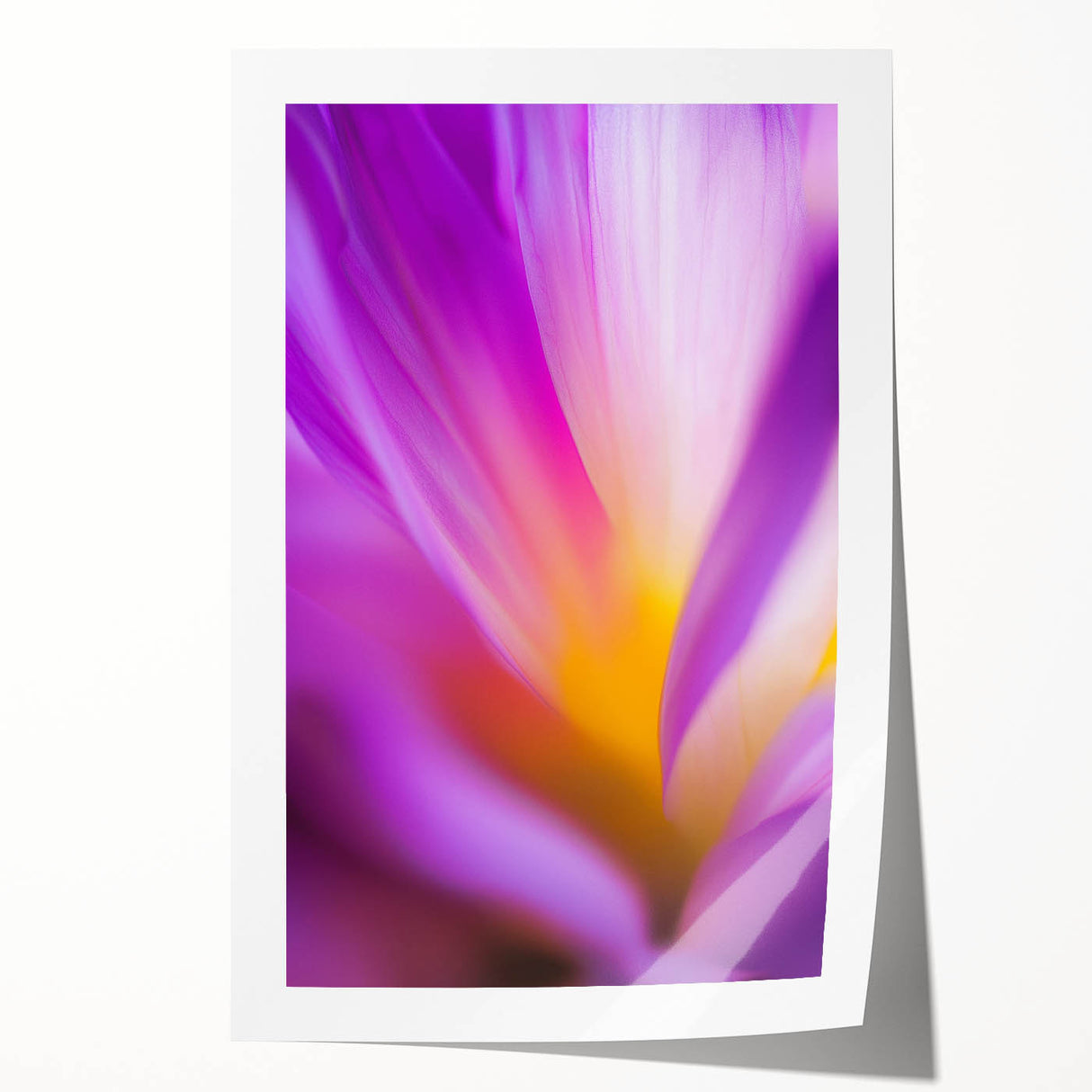 Radiant Petal Pulse – Abstract Floral Glow in Fluid Color Motion