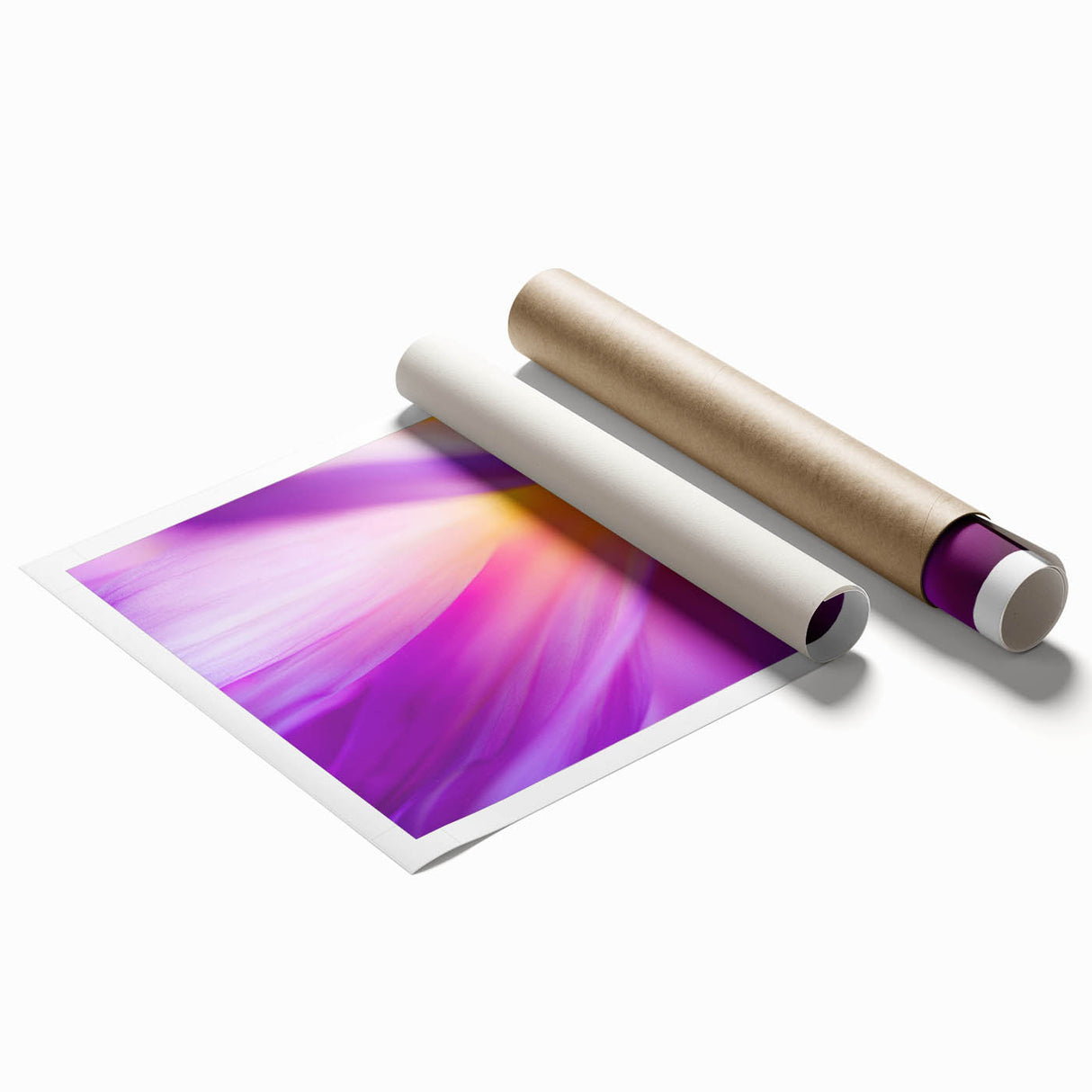 Radiant Petal Pulse – Abstract Floral Glow in Fluid Color Motion